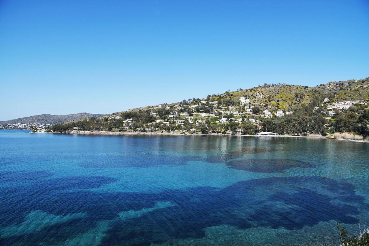180° View To Sea Villa Vathi  ภายนอก รูปภาพ